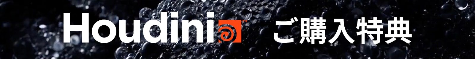 Houdini 購入特典