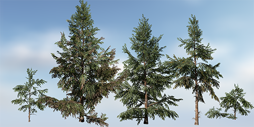 Spruce_white_store_s.png