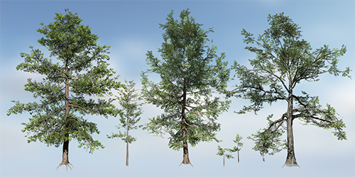 oak_willow_store_s.png
