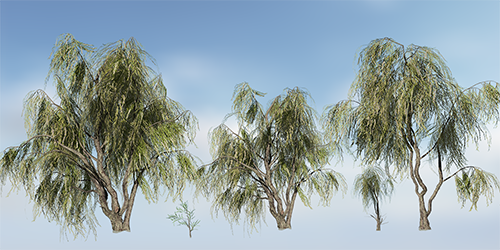 willow_peppermint_store_s.png